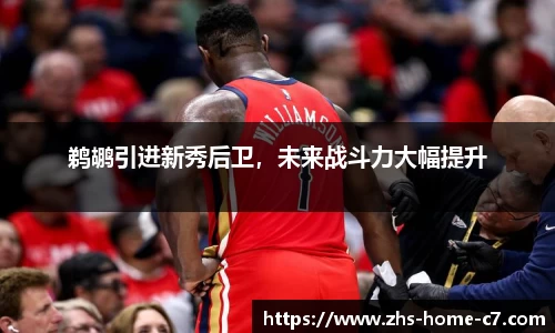 鹈鹕引进新秀后卫，未来战斗力大幅提升